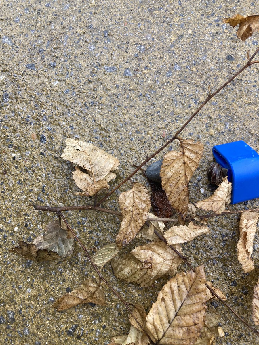 Professor Eunice Lumsden tweet media