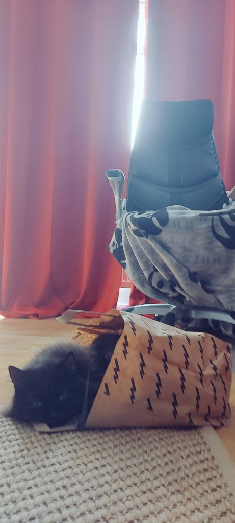 HC-PinGviini | Developing Games tweet media