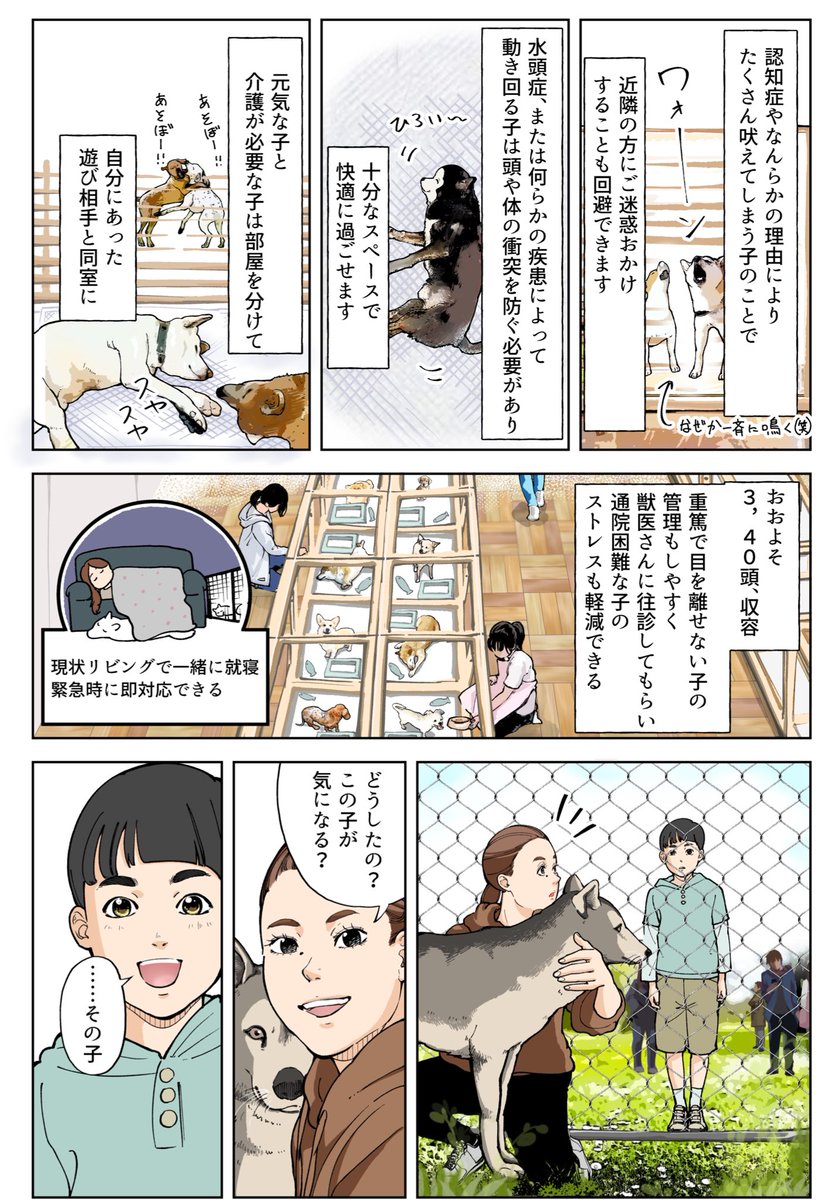 家がない保護犬たちの居場所を作る話② 