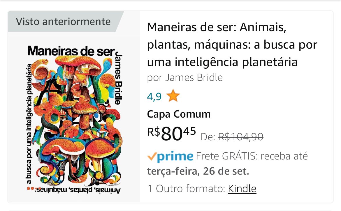 fatmendes's tweet photo. @felipeneto Já ouvi falar muito bem desse livro e gostaria de comprá-lo. Fala um pouco da problemática da Inteligência Artificial. https://t.co/6ylM24p0UY