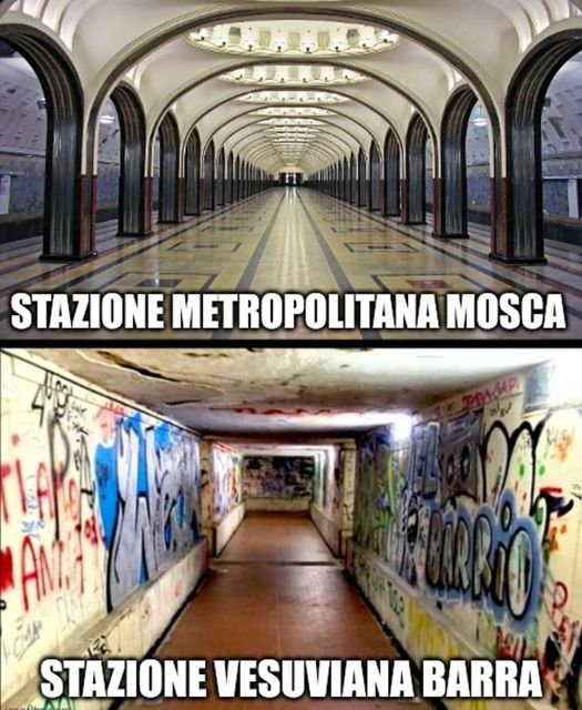 Giorgia Salvagni tweet media