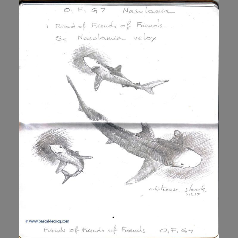 bluepainter's tweet image. Carnet Bleu: Encyclopedia of… shark, vol.2 (of 17 volumes) page 05 pencil on paper by Pascal Lecocq, The Painter of Blue Pascal Lecocq, 2011, lec850b05, former public coll. Brooklyn Art Library, NY. artist collection © pascal lecocq
#shark #sketchboo… instagr.am/p/Cxk7QkasKSl/