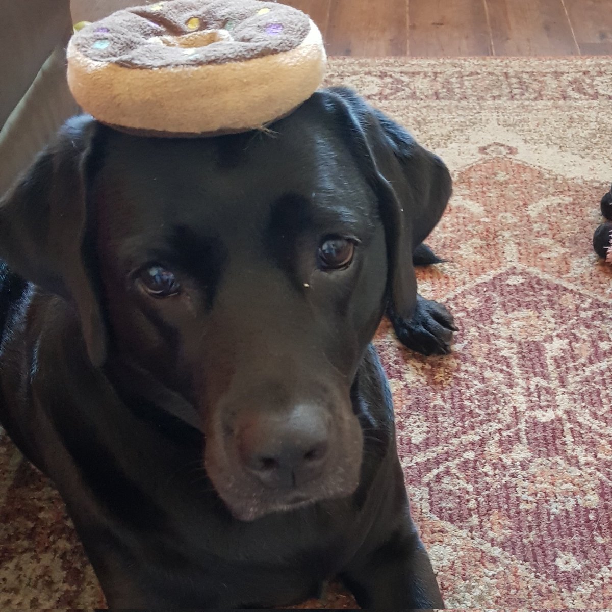 #NewProfilePic