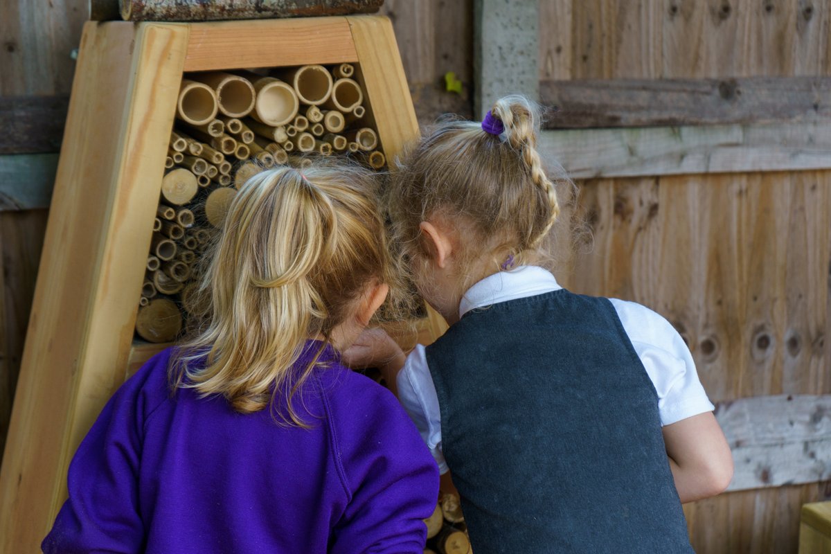 Are you looking for Nursery or Reception places in 2024?  Come and visit us at one of our Open Events.  We would love to show you all we do to ensure that children have a happy, successful and fulfilling time at primary school Click below for more info.
dorchesterprimary.com/page/?title=Jo…