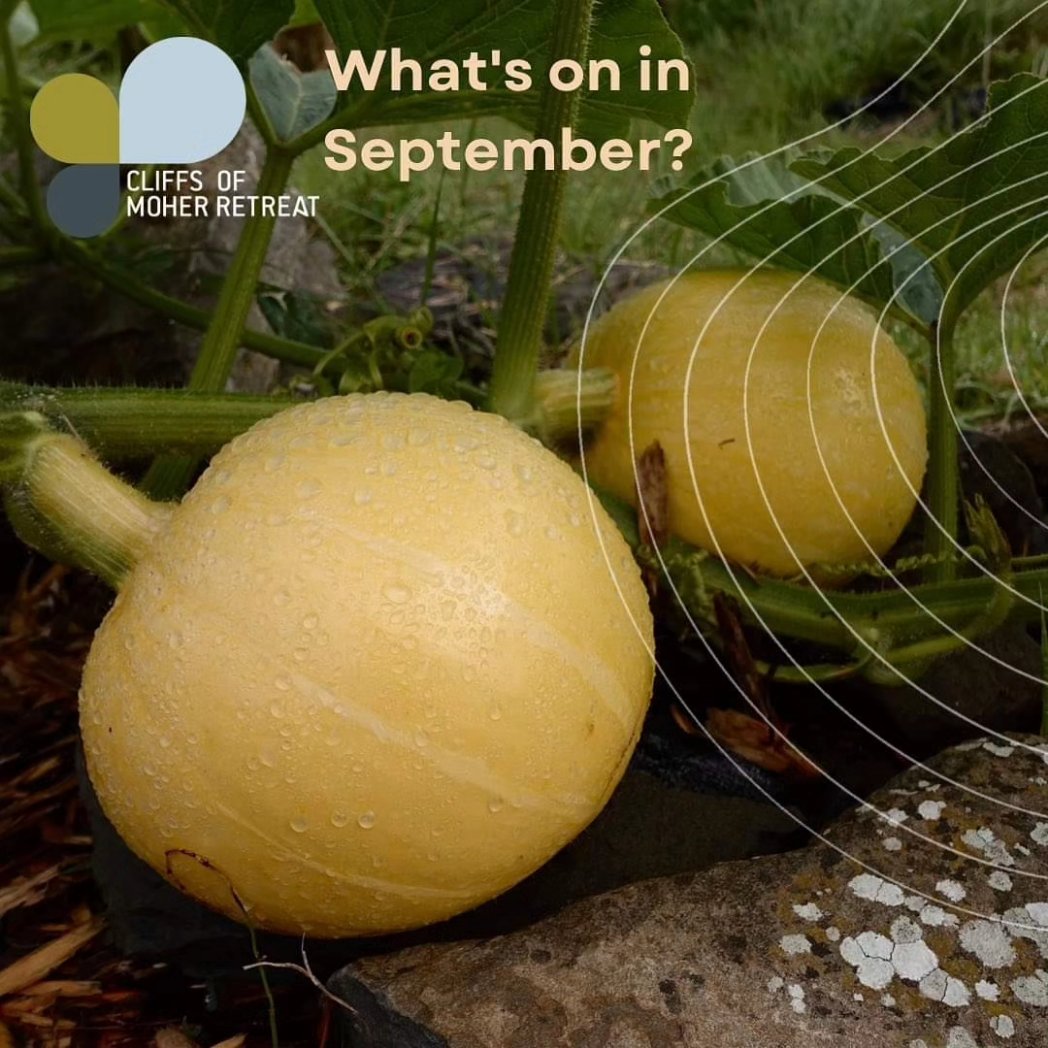 The Burren is a wellness destination! A host of wellness retreats are to take place in the Burren in the coming months. @limestoneyoga <a href="/tgmcd/">doolinyoga</a> <a href="/BurrenGeopark/">Burren and Cliffs of Moher UNESCO Global Geopark</a> <a href="/ClareTourism/">VisitClare</a> <a href="/poloconghaile/">@poloconghaile</a>