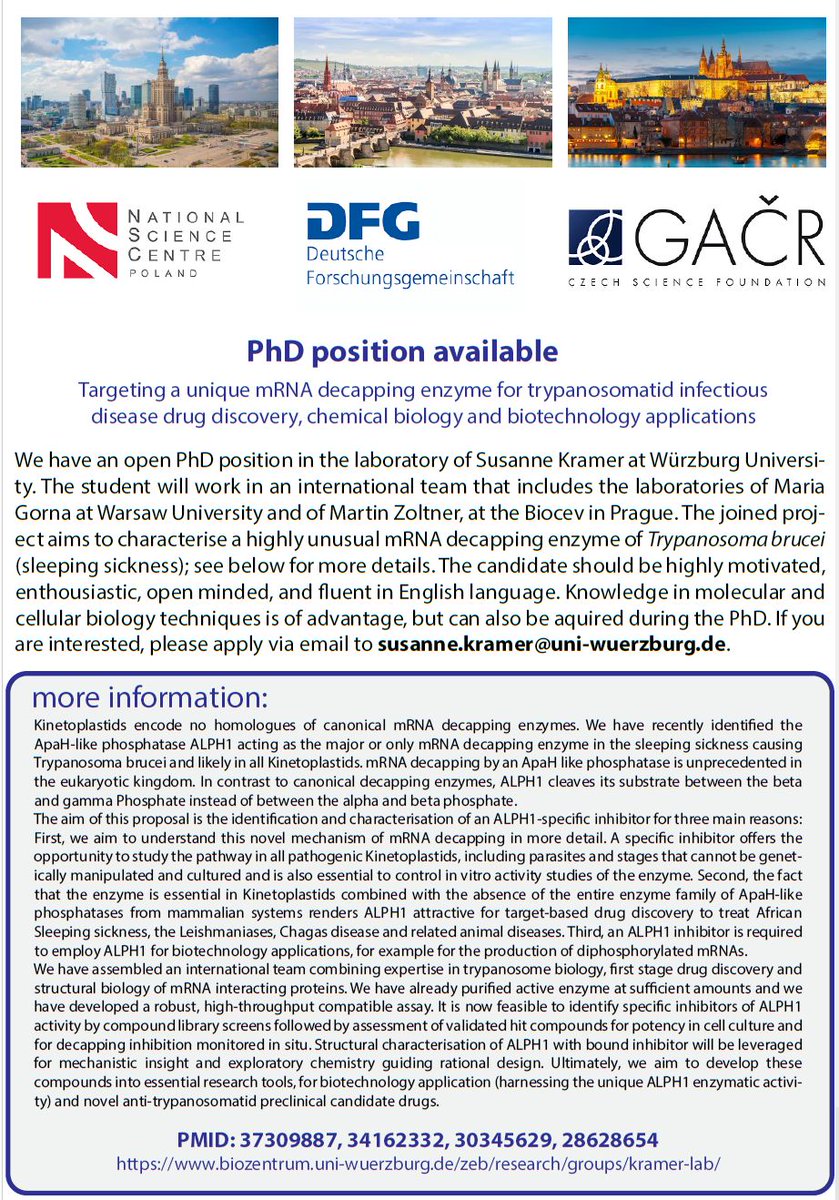 The Kramer lab at @ZEB_UniWue #WürzburgUniversity is looking for a PhD student funded by @dfg_public to kick-off our exciting international project #RNA #trypanosome #drugdiscovery - if interested please do apply to Susanne (off-X/Twitter)