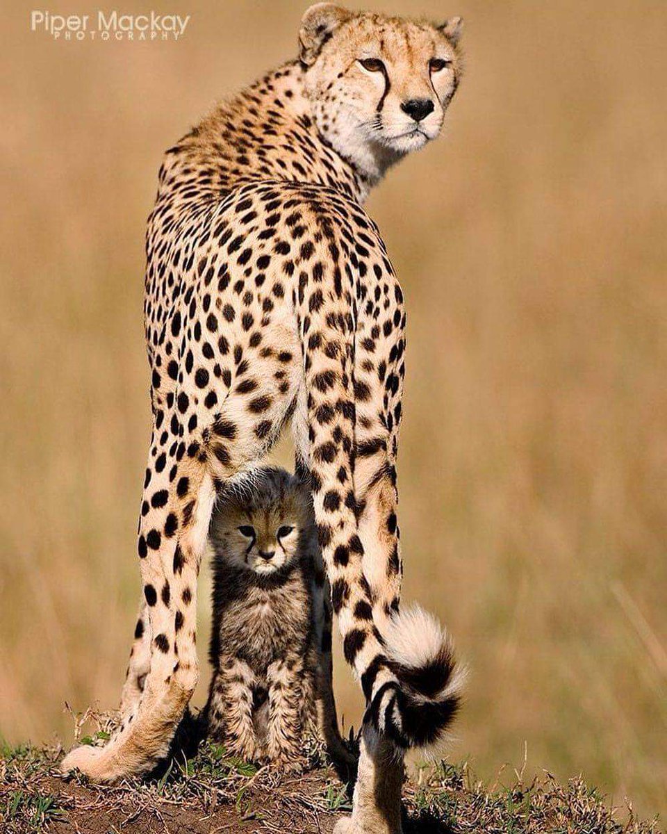 #NaturaFantástica Medellín