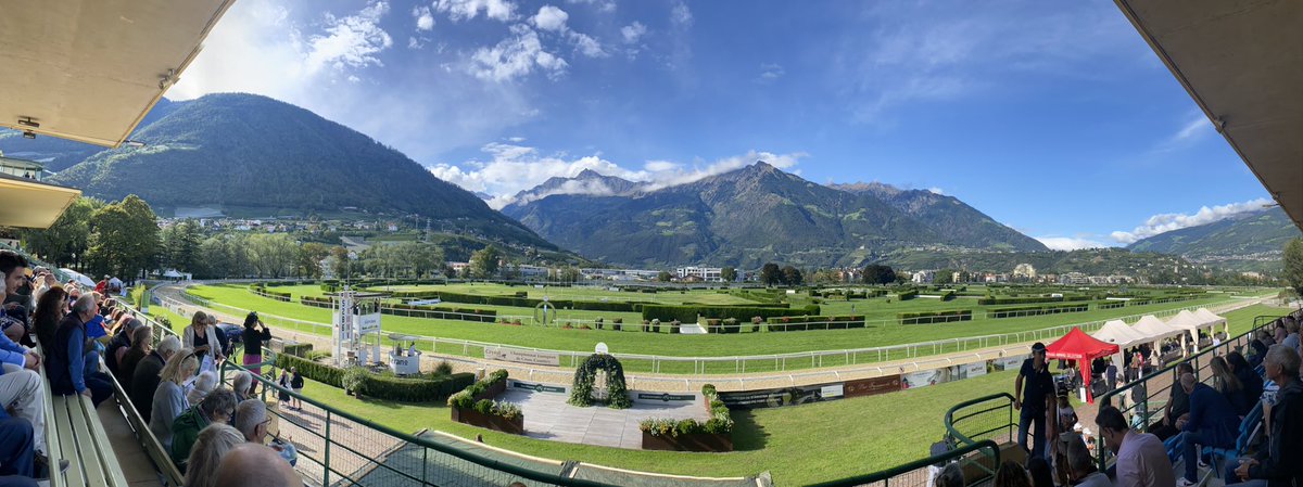 Francesca Cumani tweet media