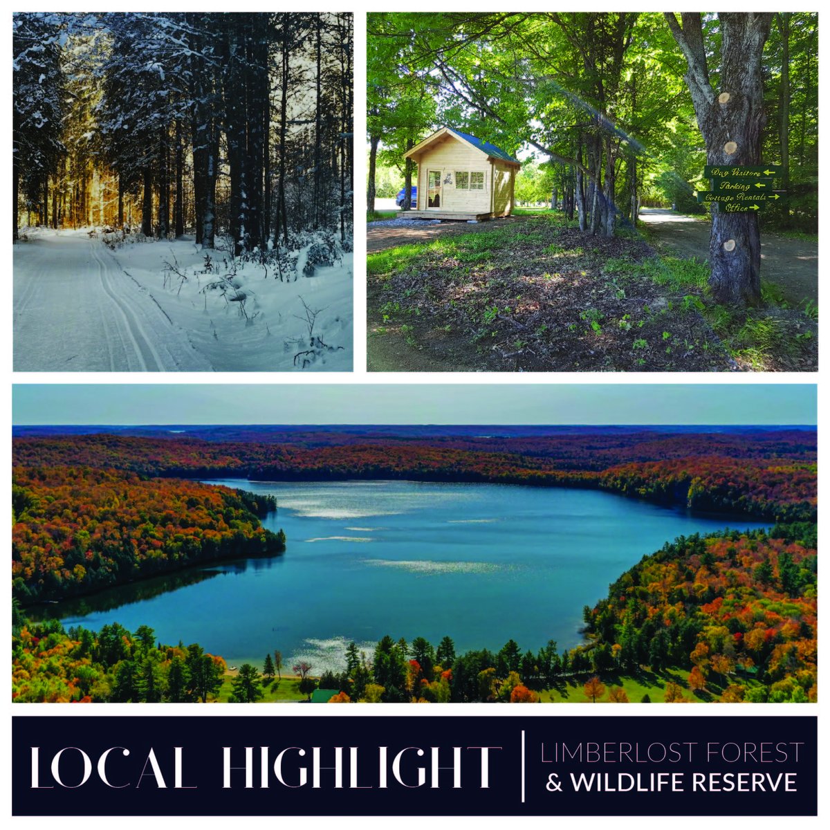 Local Highlight - Limberlost Forest & Wildlife Reserve is a year-round wilderness haven with twenty lakes and more than 10,000 acres of mixed forest.

#hiking #exploremuskoka #huntsvilleontario #weekendvibes #weekend #itstheweekend #muskokaadventure #muskokamoment #getoutside