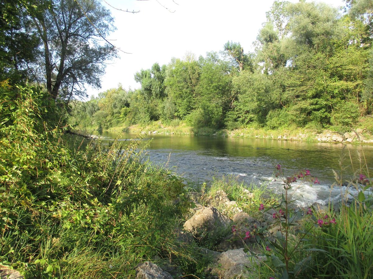 Today is World Rivers Day! 

Find out how #geographers are using their insights to monitor water quality, restore degraded urban rivers and protect the biodiversity of fluvial systems impacted by climate change 👇  orlo.uk/PE40n

#UsingGeography #WorldRiversDay