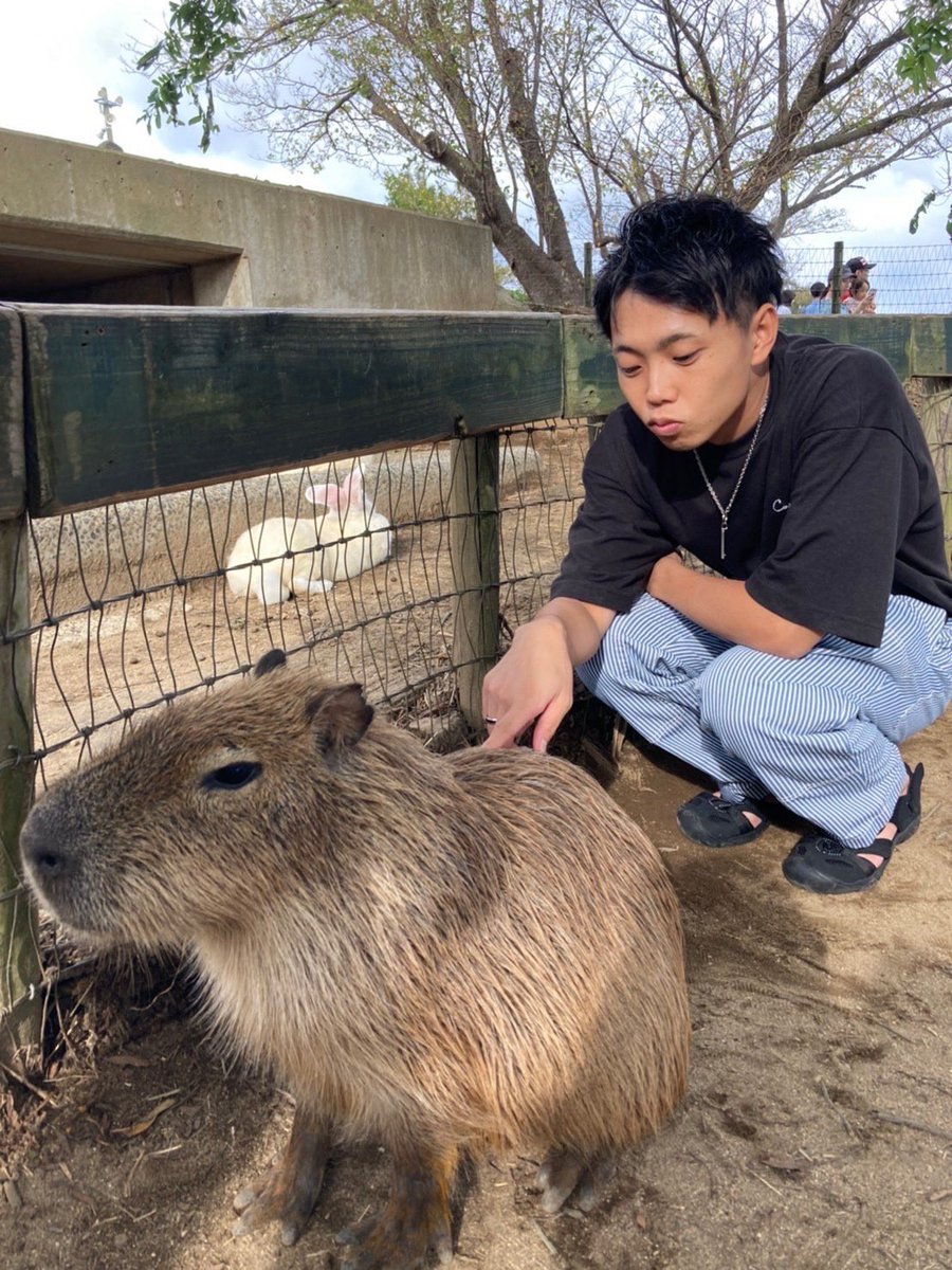 じゅん tweet media