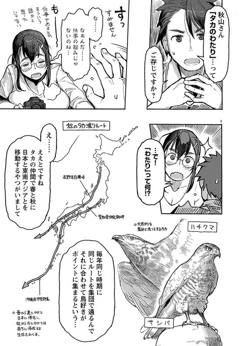 タカの渡りについて…… 