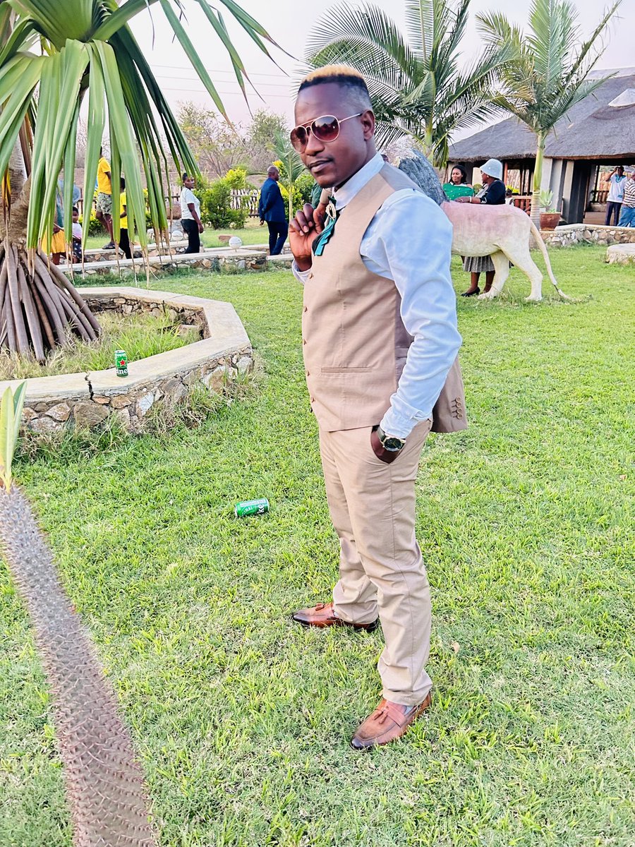 DolphasP's tweet image. 