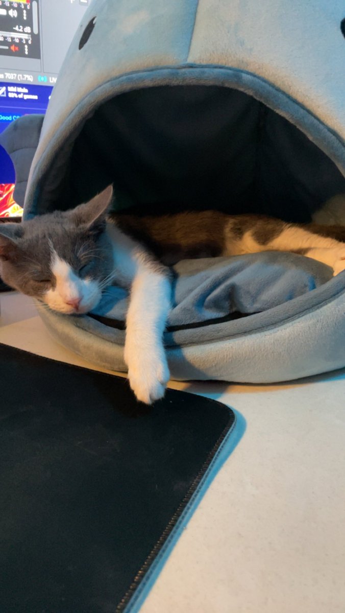 CAMfidenceLive's tweet photo. I wish I could nap as hard as this dude does. https://t.co/7aEslGOFWK