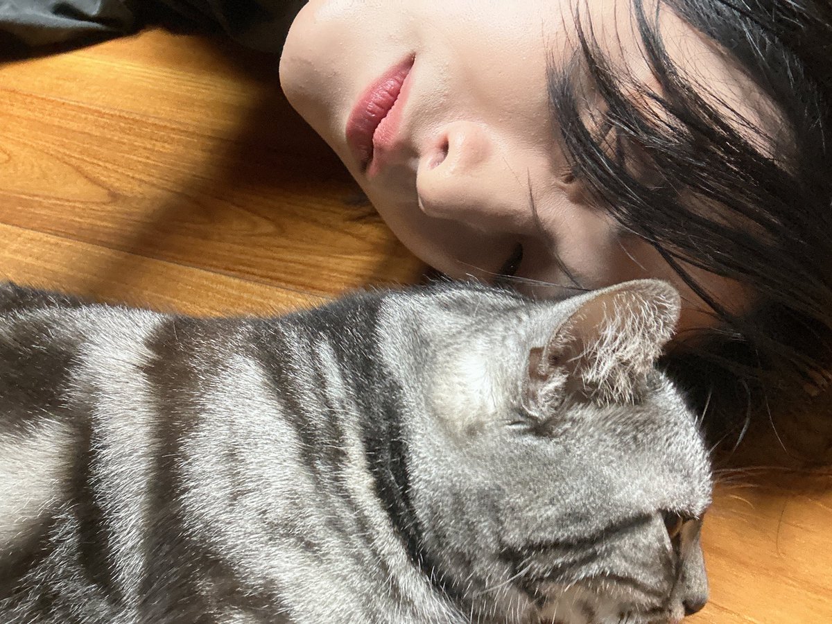 [#용하] 🐱
