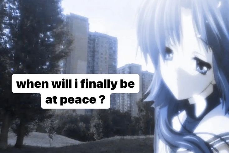 ʚ cate ɞ tweet media