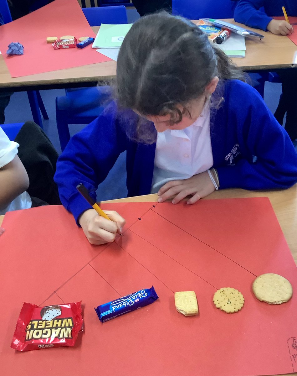 MrsMaxwellHCPS's tweet photo. #ExcellentElephants loved creating cladograms using biscuits to practise the technique then applying the model to information about the evolution of different species! Great work yr6ππ»@HazelSchool #EvolutionAndInheritance @MrsWestwoodHCPS https://t.co/ntWXODTZHK