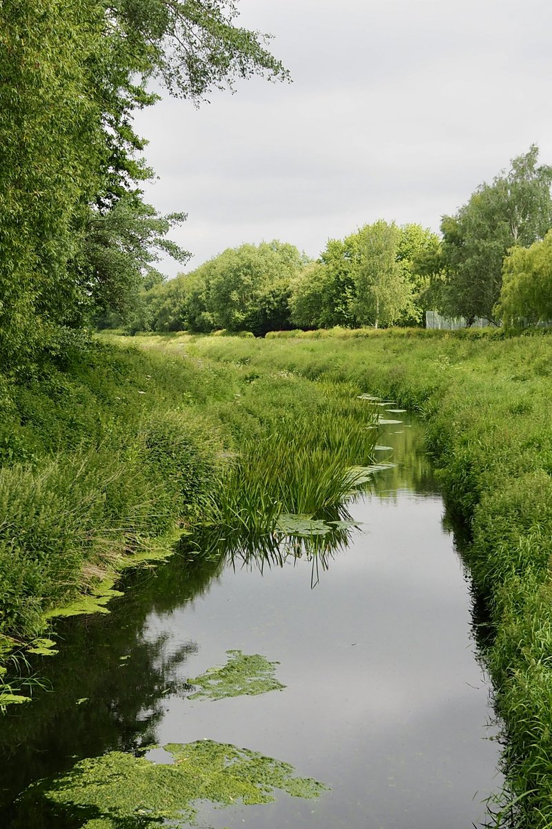 riverfossYork's tweet image. It’s #WorldRiversDay and the last day to participate in the #BigRiverWatch.
It takes just 15 minutes and it’s a great way to engage with your local waterway and feed into a #CitzenScience project.
If you enjoy it you might want to become a #RiverFoss #RiverMonitor !