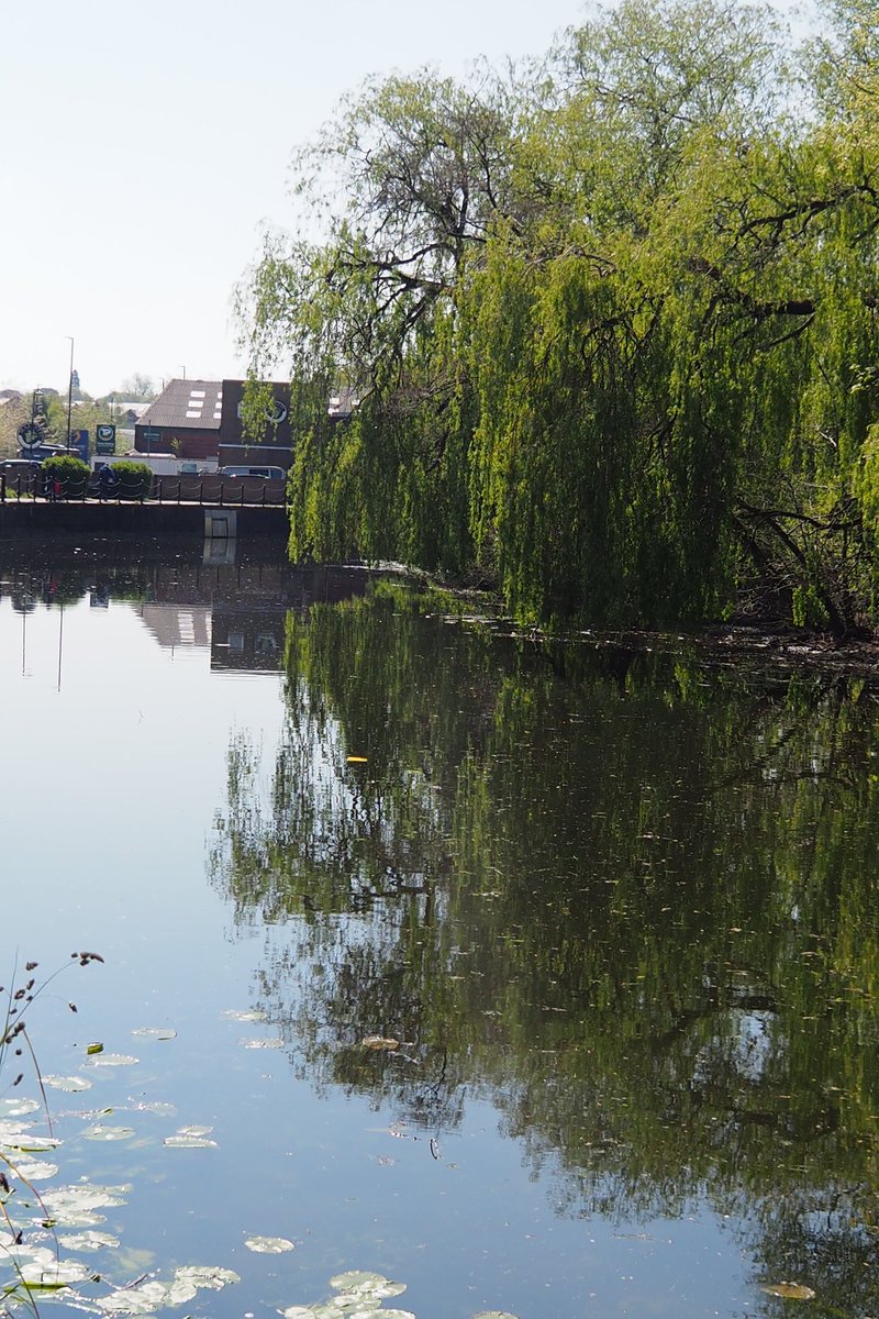 riverfossYork's tweet image. It’s #WorldRiversDay and the last day to participate in the #BigRiverWatch.
It takes just 15 minutes and it’s a great way to engage with your local waterway and feed into a #CitzenScience project.
If you enjoy it you might want to become a #RiverFoss #RiverMonitor !