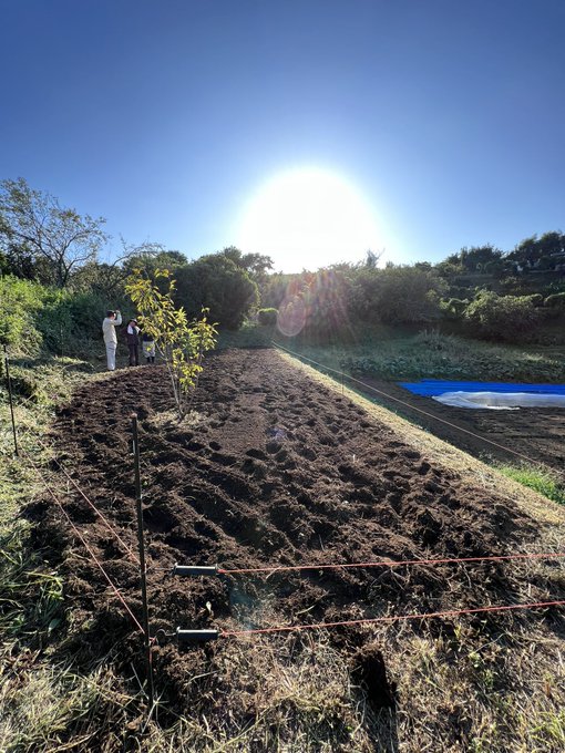 畑作りました👩🏽&zwj;🌾👍🏾 https://t.co/HEv4KzSmAu