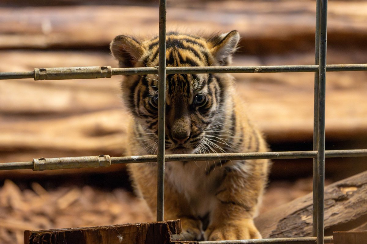 Mike Zeitz tweet media