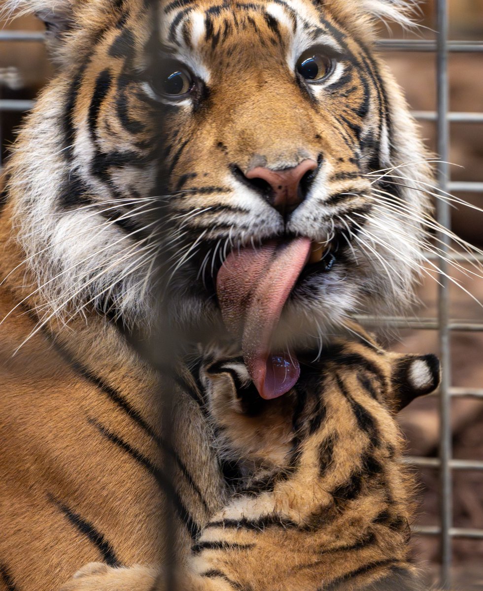 Mike Zeitz tweet media