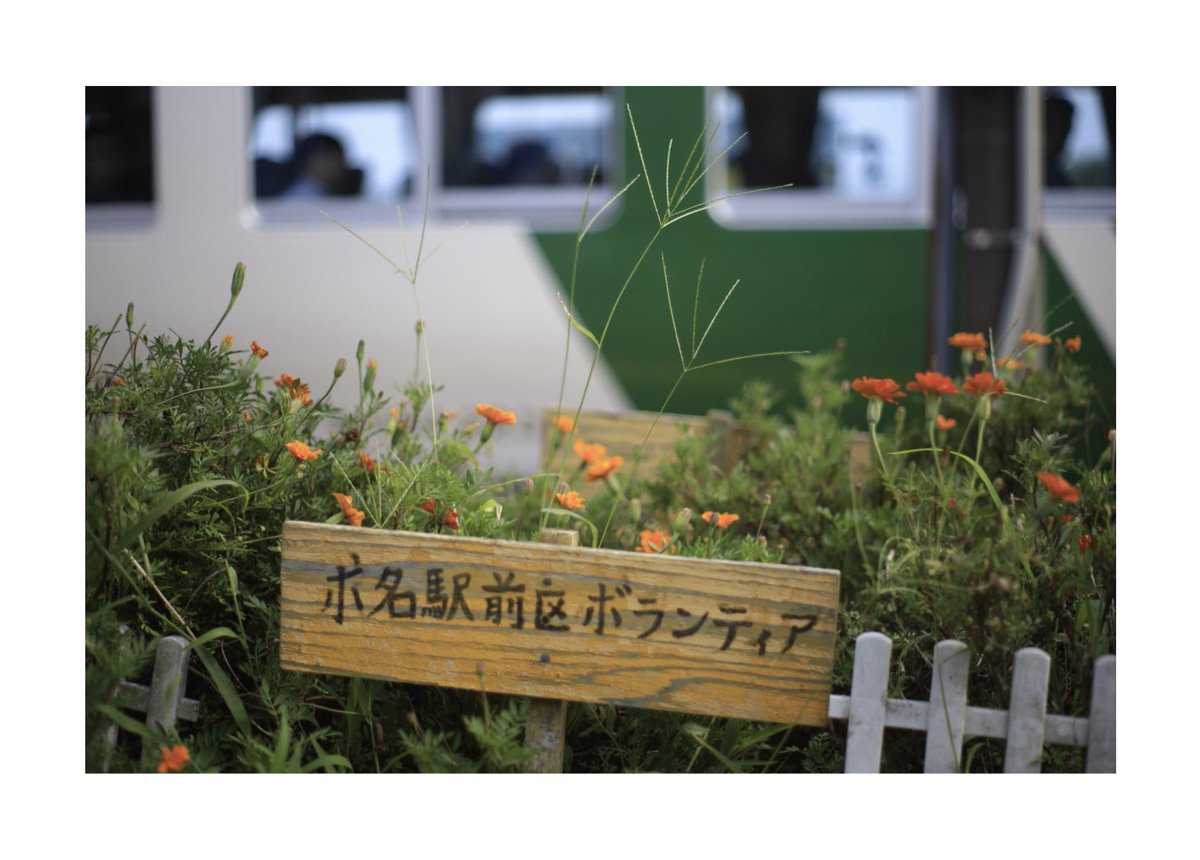 odoriko185_kei's tweet photo. 185系で房総半島一周した日

時折車内に吹き込む風に秋を感じ、最後には遠くの富士山を横目に始発駅の両国駅に到着しました。季節の変わり目ですね

 #クラブツーリズム鉄道部 https://t.co/fMCbxDay4B