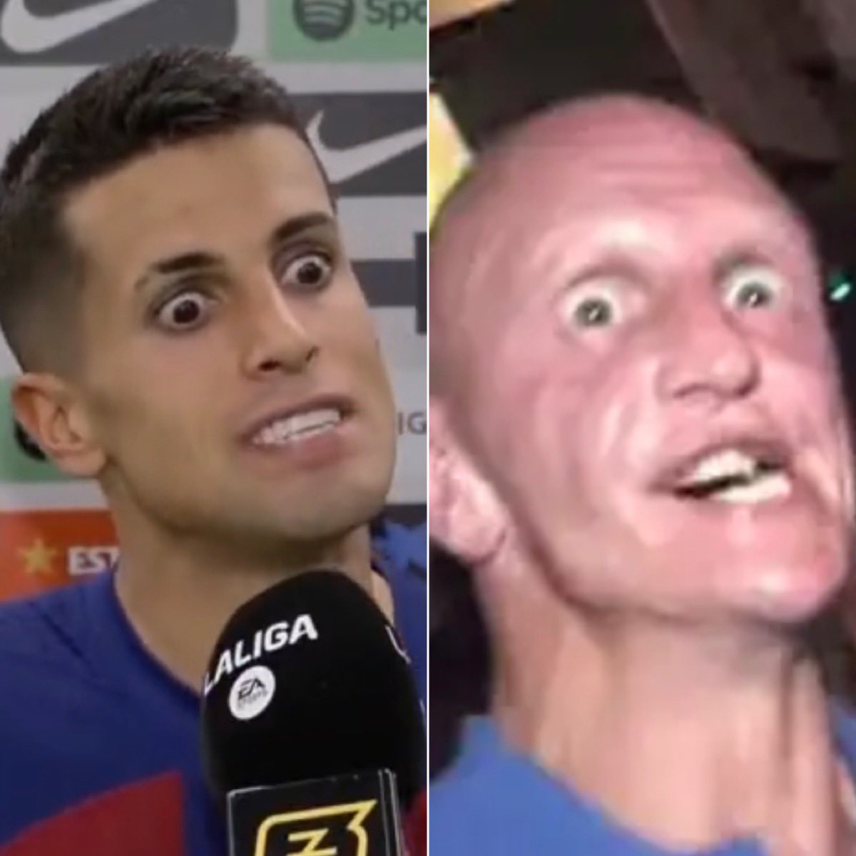 Separados à nascença