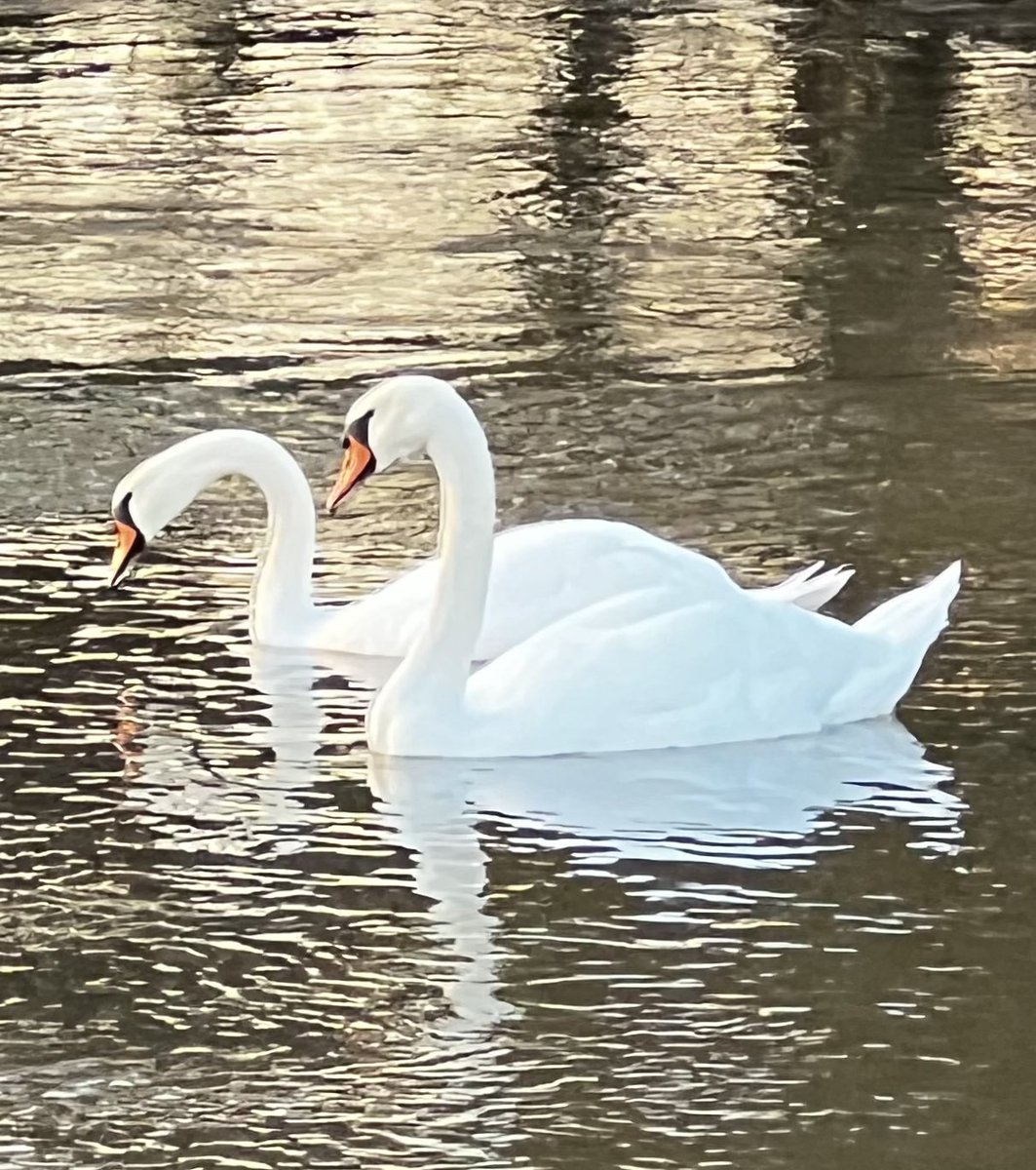 followspen's tweet photo. #herefordshire #countryside #riverlugg #naturescolours #backhome https://t.co/N7eCH9in0k
