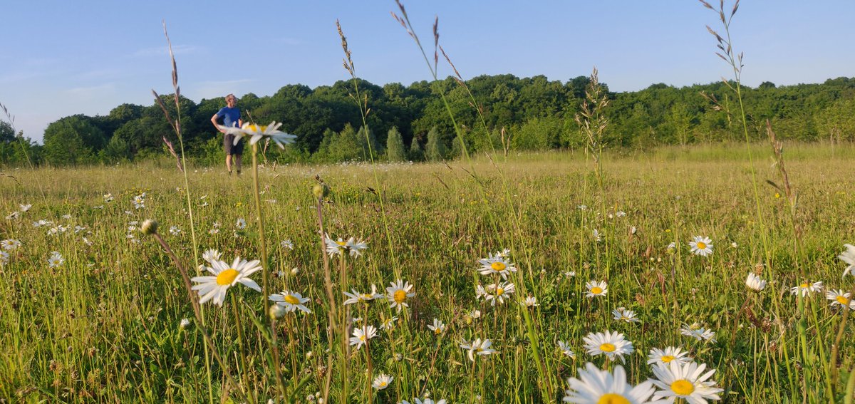 Environment Matters tweet media