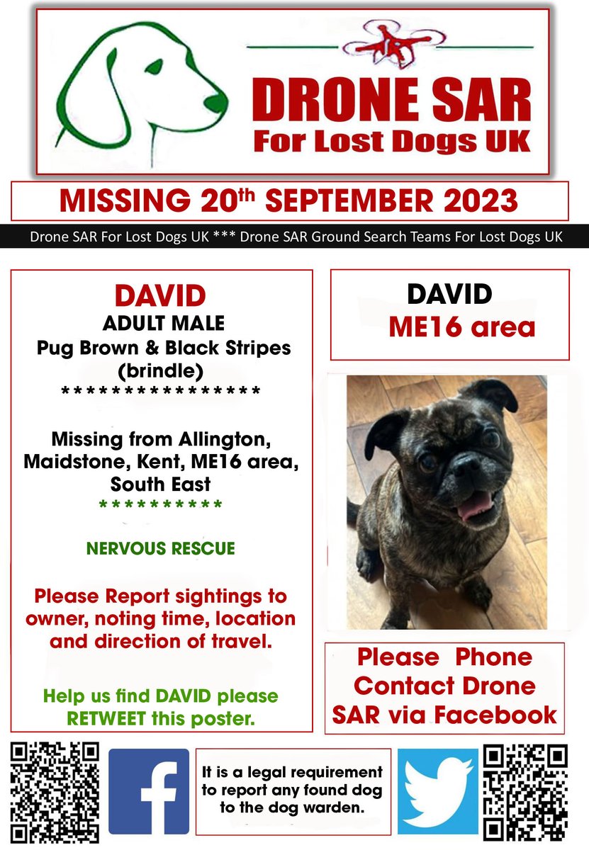 #LostDog #Alert DAVID PLEASE DO NOT APPROACH Male Pug Brown & Black Stripes (brindle) (Age: Adult) Missing from Allington, Maidstone, Kent, ME16 area, South East on Wednesday, 20th September 2023 #DroneSAR #MissingDog