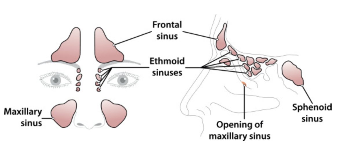 Annals of Allergy, Asthma & Immunology tweet media