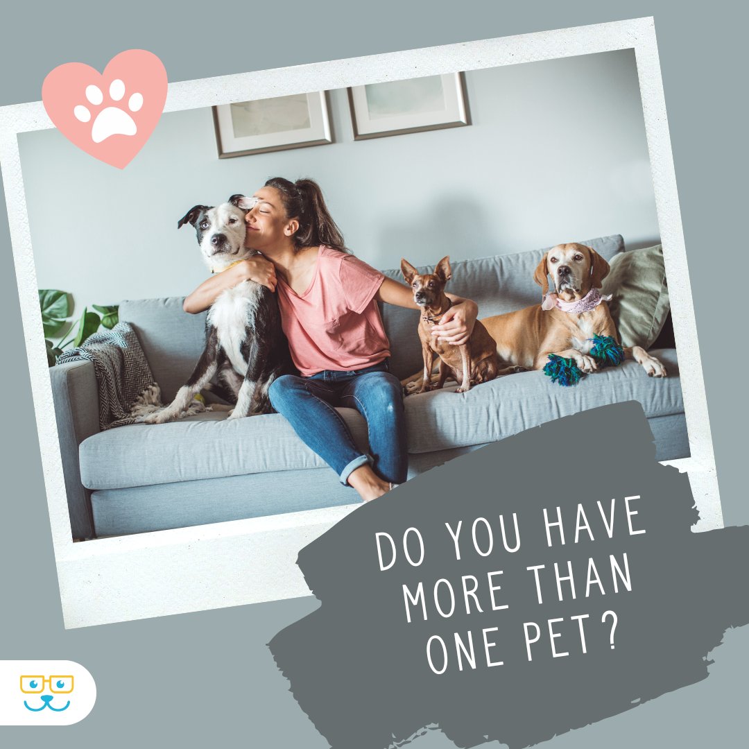 sugar_animal's tweet image. If the answer is yes, tell us their names and what kind of animal they are in the comments! 

#petquestions #sugarriverah #sugarriveranimalhospital #sugarriverahgratham #grathampets
