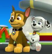 OfficerChaseO2's tweet photo. ✨️🐾Daily Chase🐾✨️
I had no clue Marshy was a back therapist and ended up giving me a back massage 🤭
#DailyChase #PawPatrol #Silly https://t.co/AfdczdaIsw