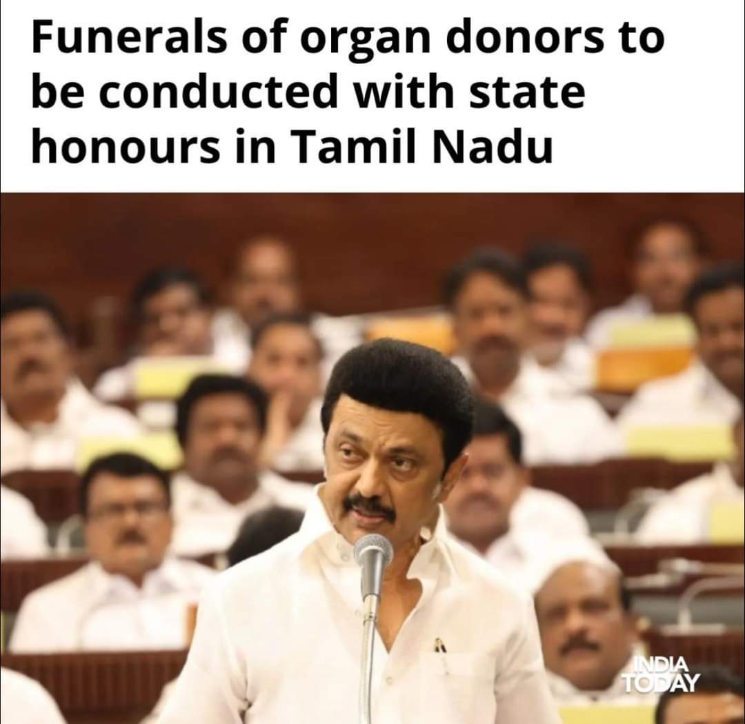 Angrybird_On's tweet image. True Honour❤️❤️ #DravidanModel 

@mkstalin 👏👏