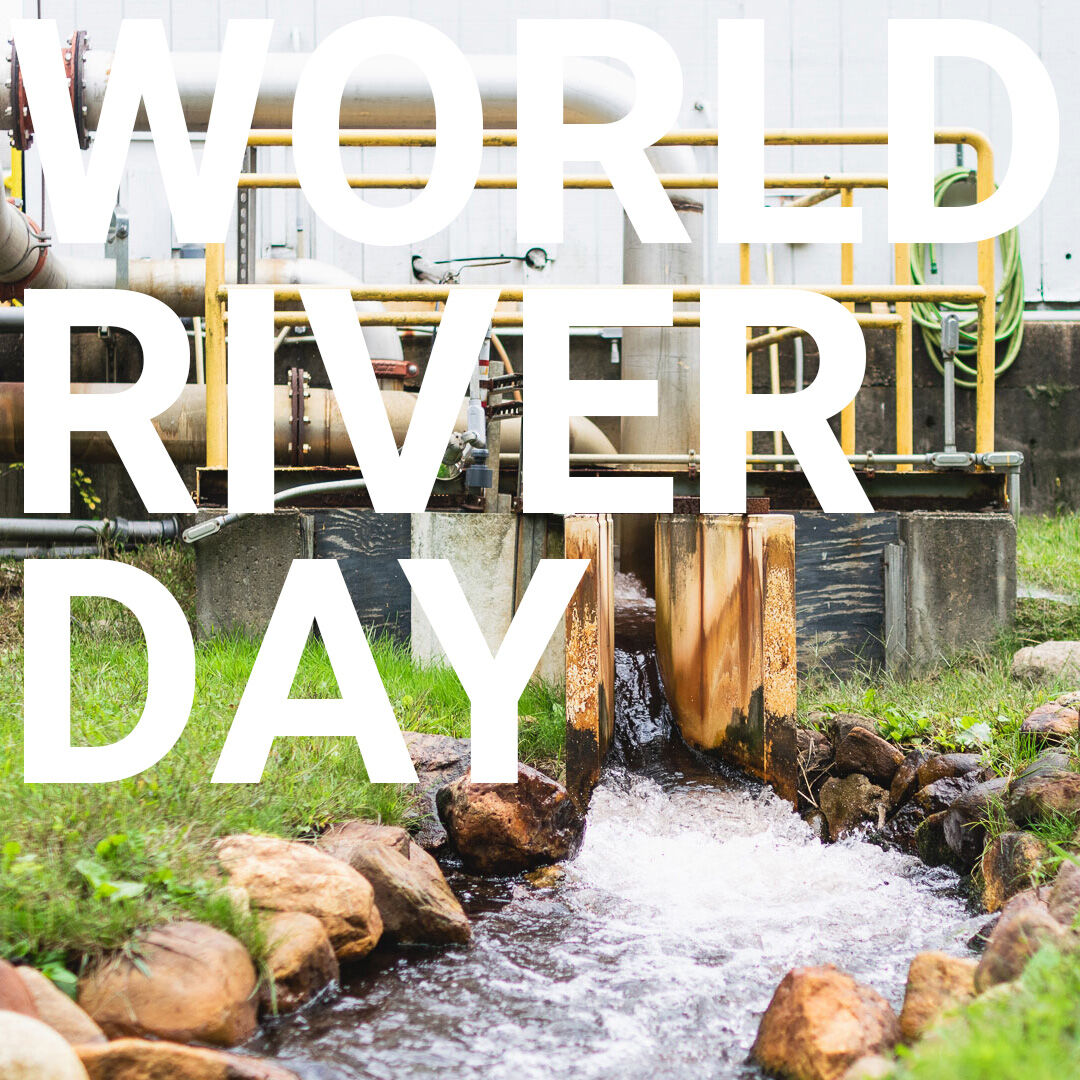 The Otter River provides us with 800,000 gallons of water daily to craft our products. Every drop is responsibly treated in our wastewater treatment plant, and the water returns to the Otter River cleaner than it was when we took it out!
seaman.eco/tw-sustainabil…

#WorldRiversDay