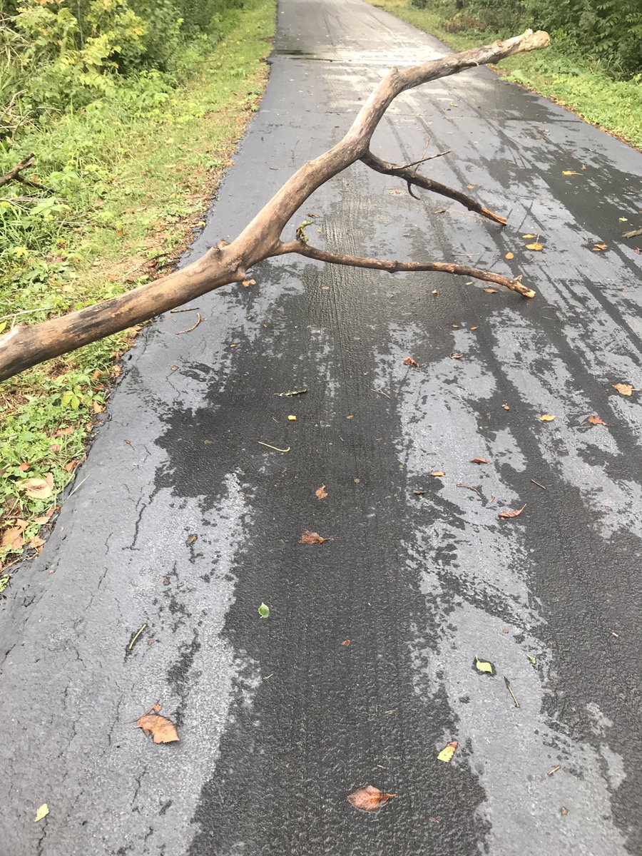 stupidtrumpers's tweet photo. Sunday Funday Runday !
9 Plus miles around Medicine Lake the long way ! After overnight rain dodging a few puddles and down trees ! @GrandmasMara #bostonqualified #runner #grandmasmarathon #run
#bostonmarathon #sunday
#sundayrunday #fitness https://t.co/zoKTrDitzN