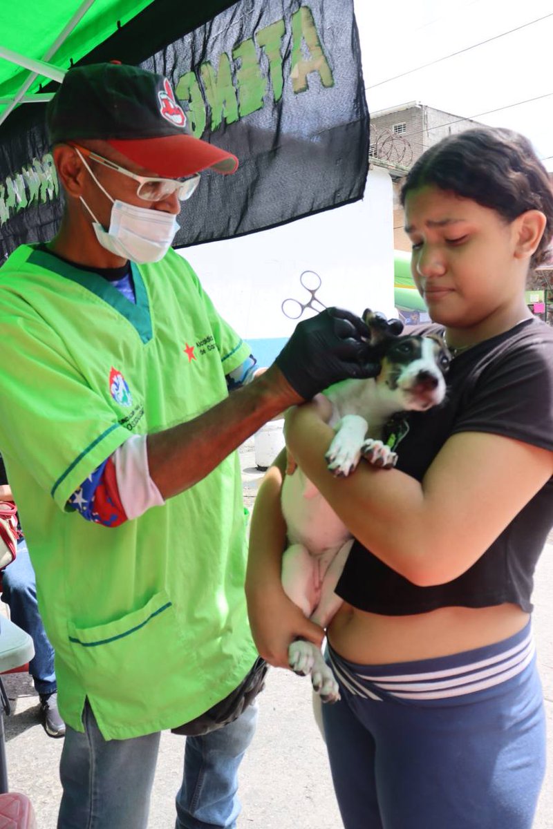 gestionperfecta's tweet photo. Cada semana ofrecemos jornadas integrales médico sociales y veterinarias en Caracas, y este domingo #24Sep correspondió a El Recreo.

Las 23 comunidades de esta parroquia atendidas por equipos expertos en diferentes áreas.

#VenezuelaAPruebaDeTodo https://t.co/Bb4zSzzQst