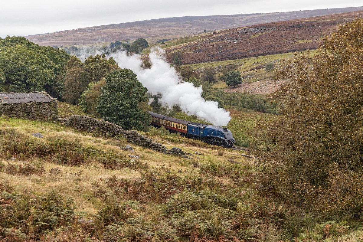60007 'Sir Nigel Gresley' steaming through the North York Moors National Park and climbing out of Goathland towards Fen Bog on the final day of the 50th Anniversary Steam Gala.