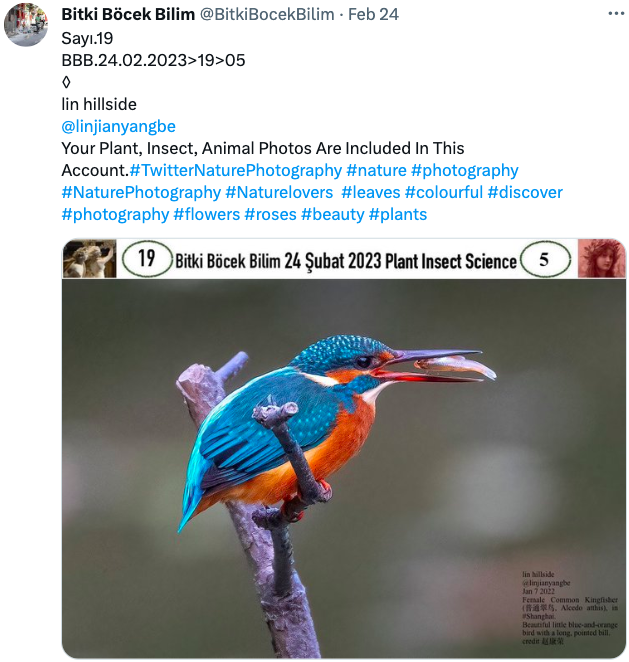 BitkiBocekBilim's tweet photo. @TheodoreAu38788 
@K72792215Kim 
@cnkutlu1 @HobbyistPlant 
@PlantBasedNews @animal 
Tarafınızdan Çekilmiş,Bitki,Böcek,Hayvan Fotoğraflarına Adınıza Yer Verilir.Tarih ve Yer Yazılmalı!
◊
Photographs of plants, insects and animals are included. Date and place must be written! https://t.co/wvN2cuQ9hB