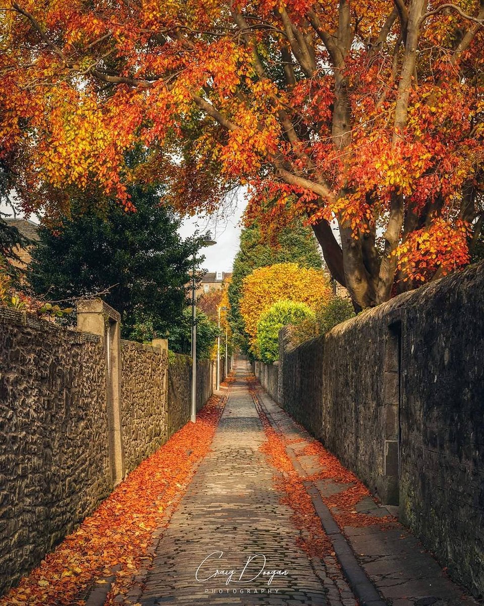 VisitScotland tweet media