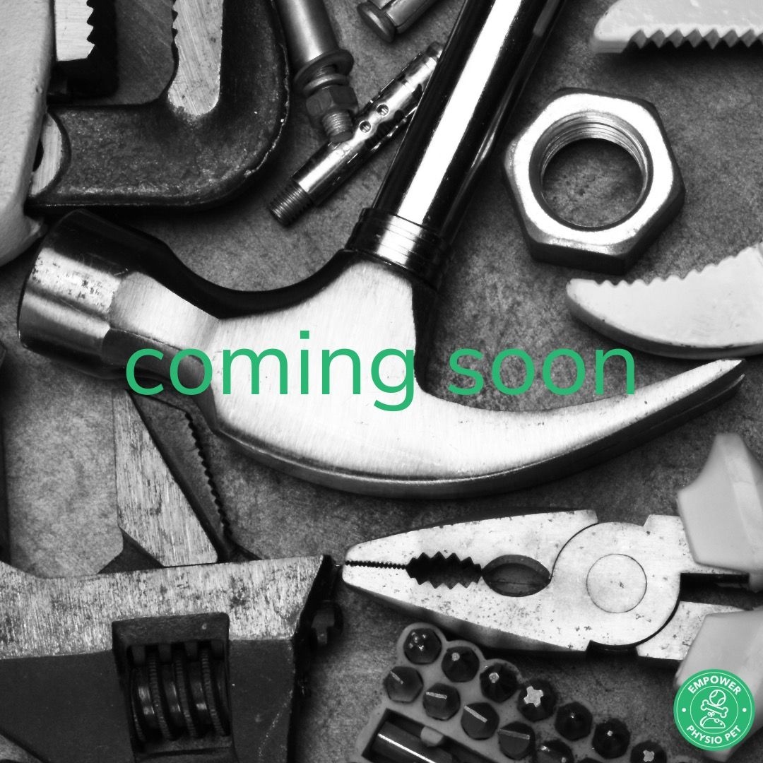 staarconference's tweet photo. Shh it's a secret! Stay tuned for Dr. Amie Hesbach's big reveal at #staarconference 
https://t.co/RaFAPpVlj6

#caninerehab #caninept #dogrehab #dogpt #caninephysio
 #handicappedpets #petparents #rehabvets #ccrp #ccrt #veterinary #veterinarymedicine #veterinarian #vetmed https://t.co/T4mMPByw1d