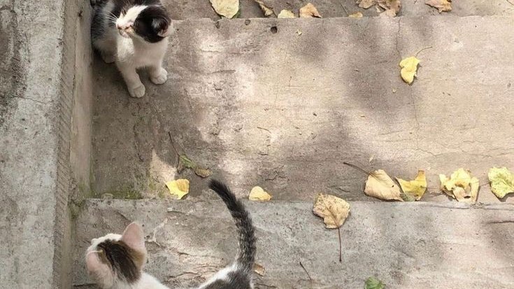 ㅡ✫ EverGreen thoughts