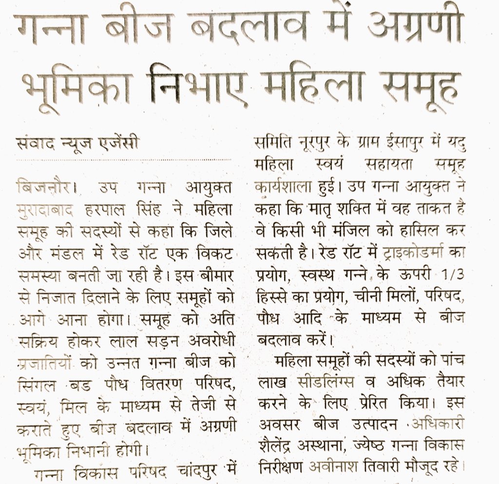 dyccmbd tweet media