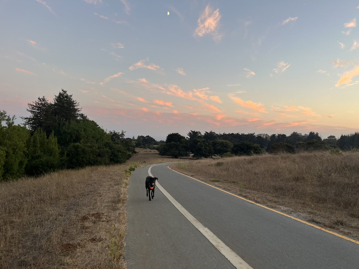 JulissaMuniz13's tweet image. After a full week of new faculty events and meeting some of my new colleagues at @ucsc, I’m feeling hopeful and excited about what’s to come. I can’t wait to meet our students. Cheers to year 1 on the tenure track and the continued beauty of Santa Cruz. #GoSlugs