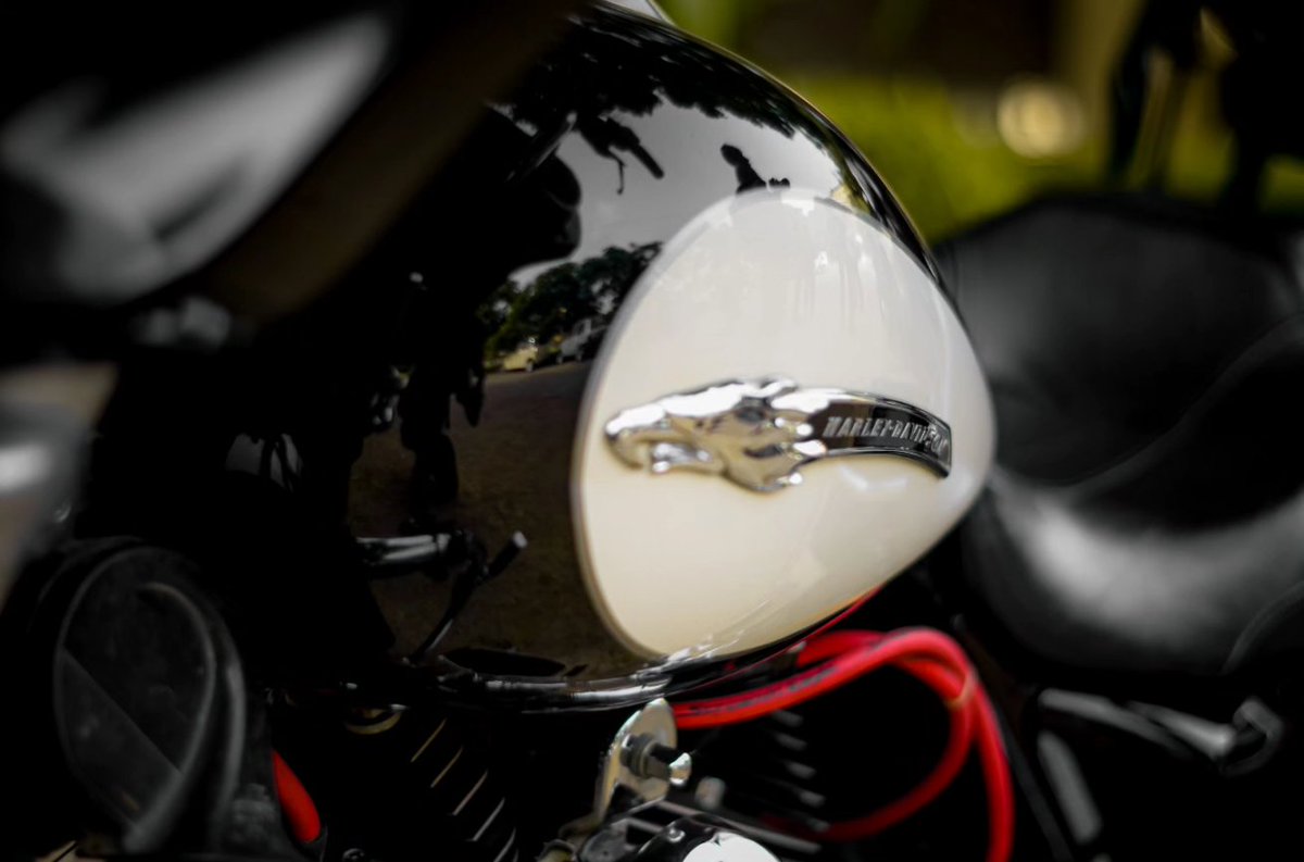 Muhammad_Hamzak's tweet photo. Harley Davidson ® 
📷 : @photos_by_ameer_hamza 
,
,
,
,
#harleydavidson #harley #harleylife #harleydavidsonmotorcycles #harleydavidsondaily #harleydavidsonpakistan #harleydavidsonkarachi 
#bike #bikes #vintagebike #sportbikelife #bikeslovers #bikes https://t.co/nr5MMw8dtM