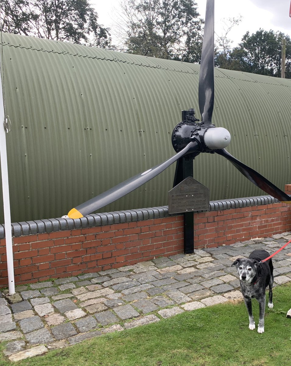 MerlinnotDesmo's tweet image. Today we had a trip to a plane museum. 

It was plain boring for me. 

Get it 😉😉😂😂😂