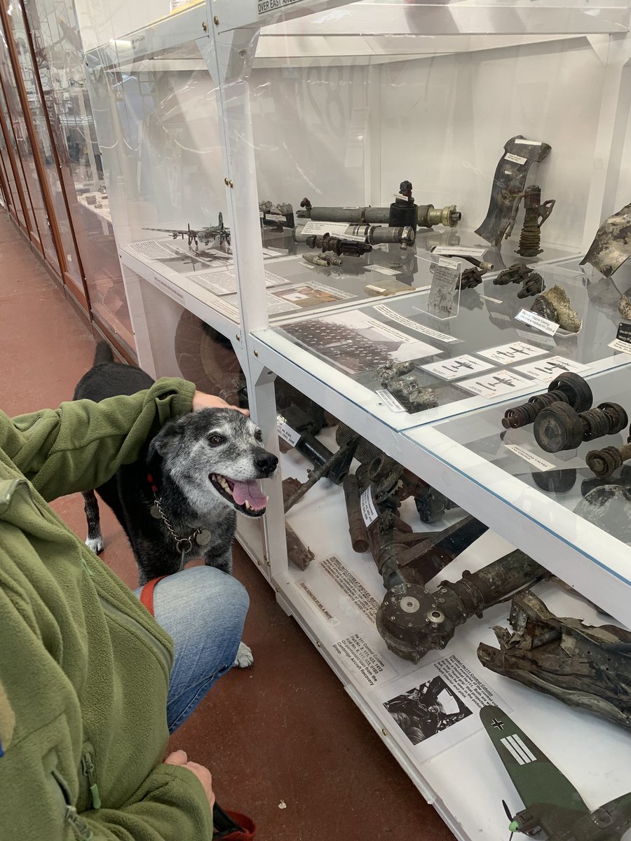 MerlinnotDesmo's tweet image. Today we had a trip to a plane museum. 

It was plain boring for me. 

Get it 😉😉😂😂😂