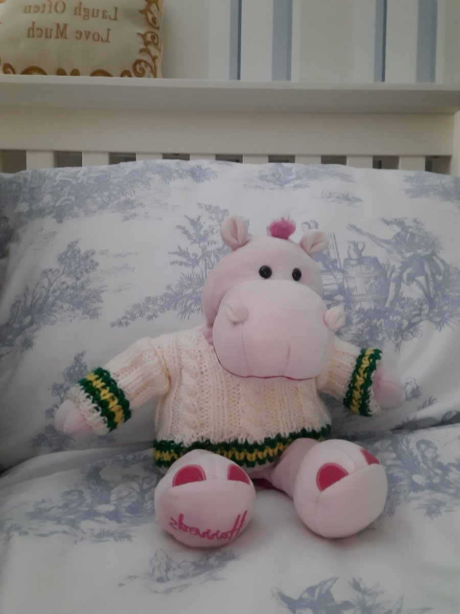 phrobbo's tweet photo. Earwy night pals Iz super cited Iz going on me hols tomoz. Can you guess where Iz going? https://t.co/5FgUwEH7D0