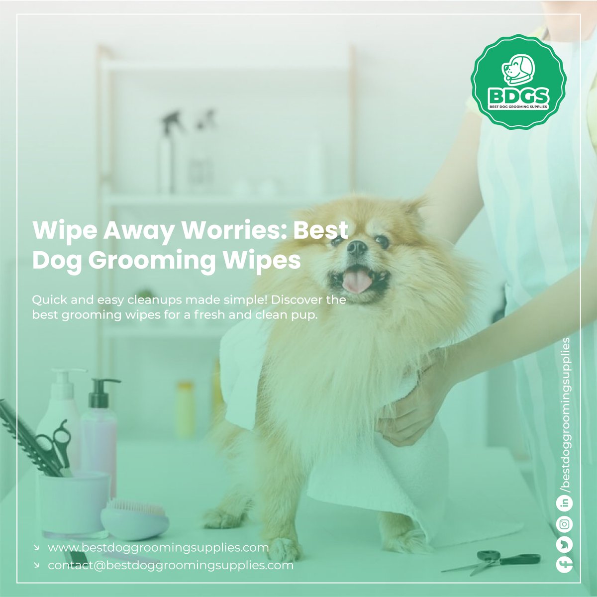 dmasifai's tweet image. 🧼 Wipe Away Worries: Best Dog Grooming Wipes

Quick and easy cleanups made simple! Discover the best grooming wipes for a fresh and clean pup. 🐶🌟

Read Article:- bestdoggroomingsupplies.com/best/best-dog-…

#WipeItClean #ConvenientHygiene #MessFree #WipeWizardry